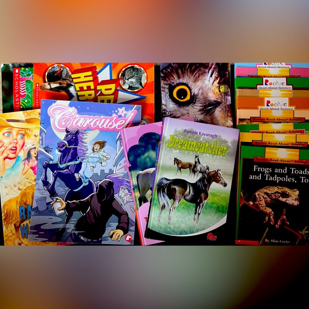 MISC KIDS BOOKS (21)